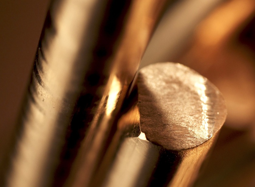 gold watches portrait
